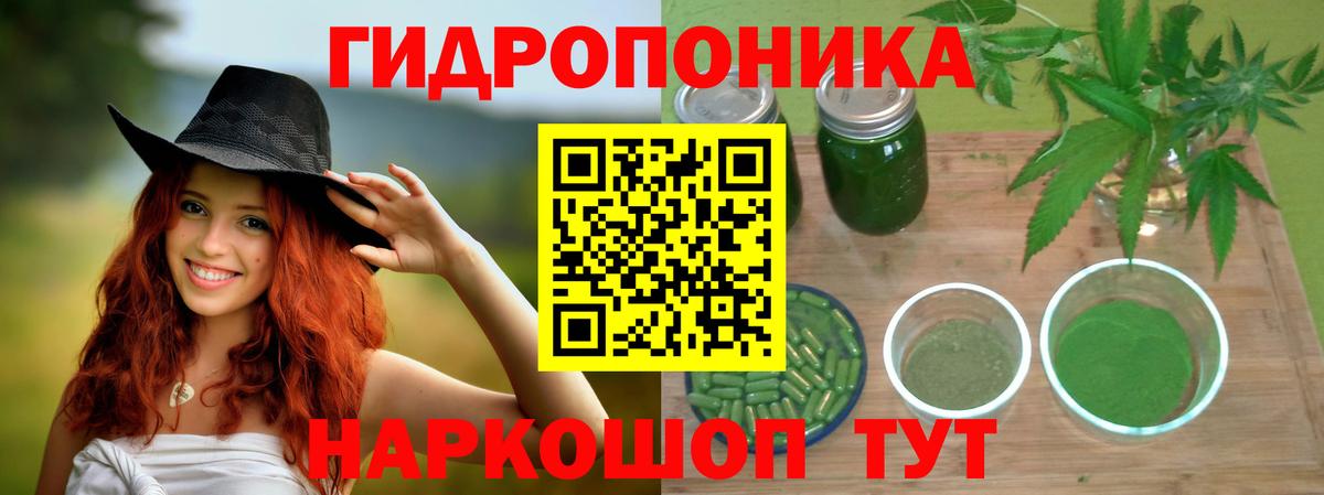 Бошки Шишки план Сарапул